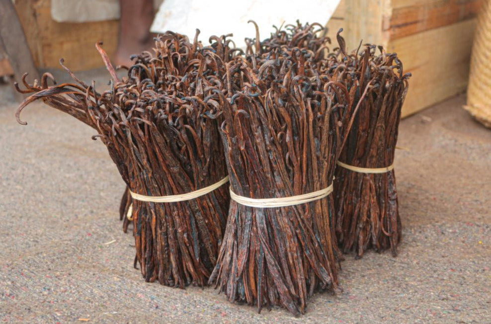 Vanille Rouge - Red US - Extraction de Madagascar- Professionnel et Industriel