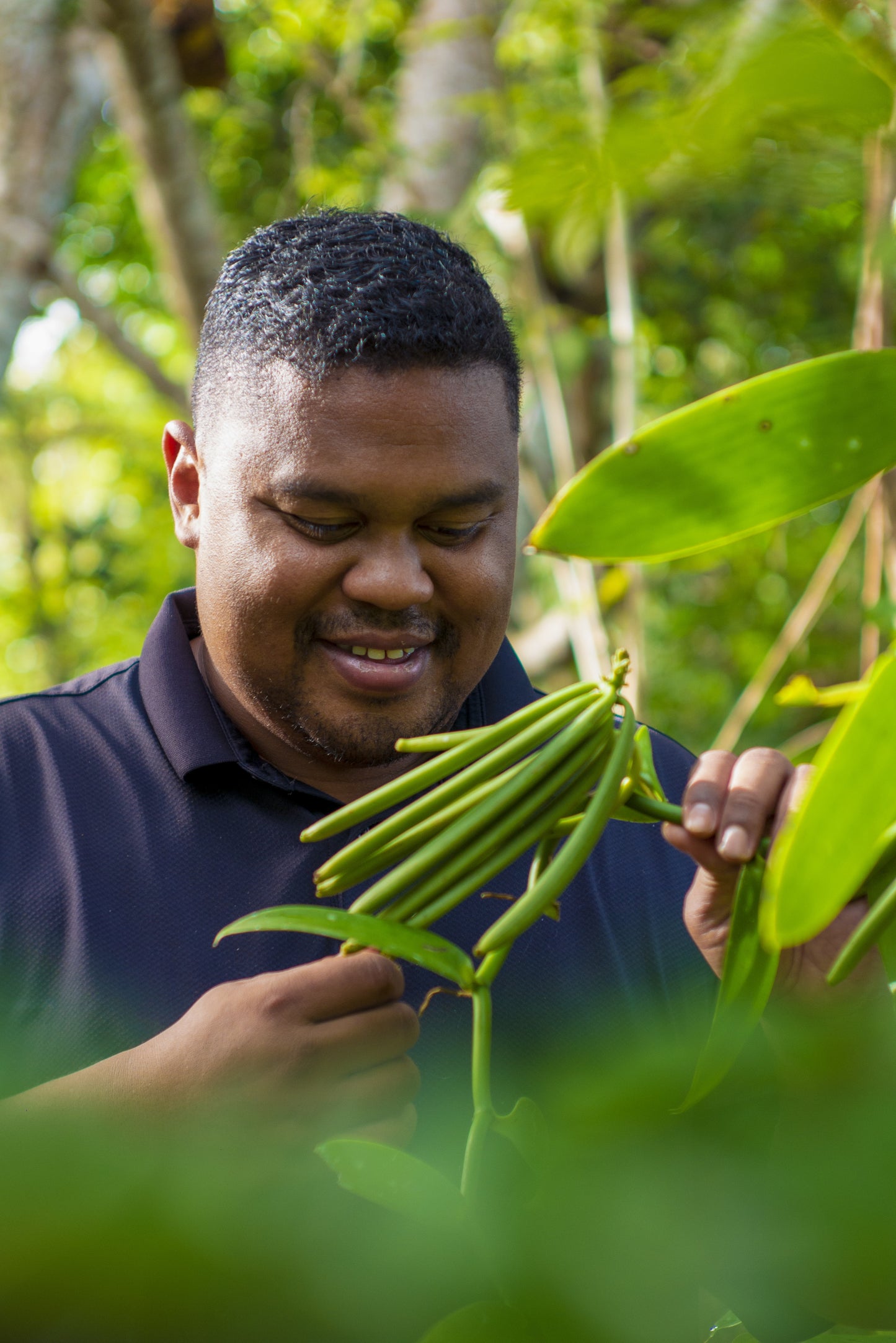 Extrait de vanille Bourbon Madagascar avec ou sans grain pour Professionnel et Industriel 100g/L - 400g/L TTC