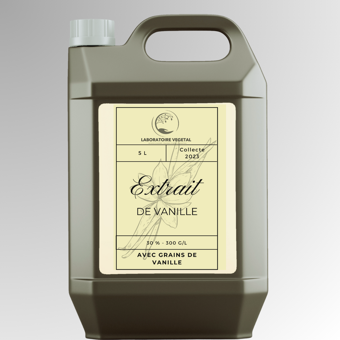Extrait de vanille Bourbon Madagascar avec ou sans grain pour Professionnel et Industriel 100g/L - 400g/L TTC