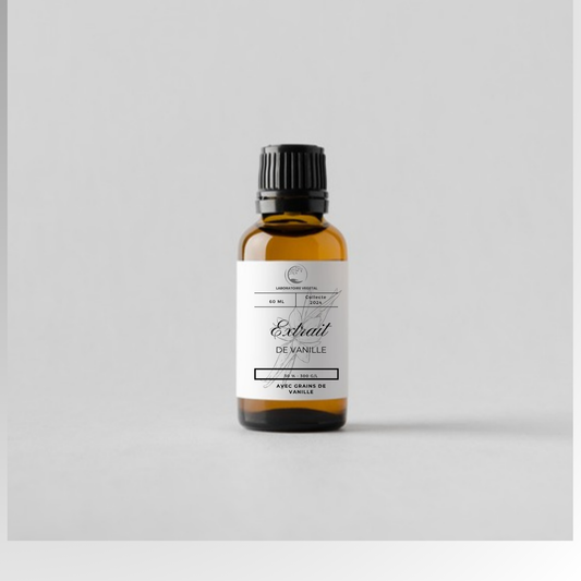 Comment choisir son extrait de vanille pour réussir un yaourt artisanal ?