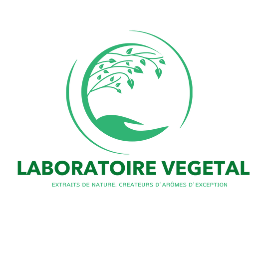Créer un extrait de vanille CO₂ supercritique sur mesure à partir de votre propre vanille pour fournisseurs, marques et parfumeurs