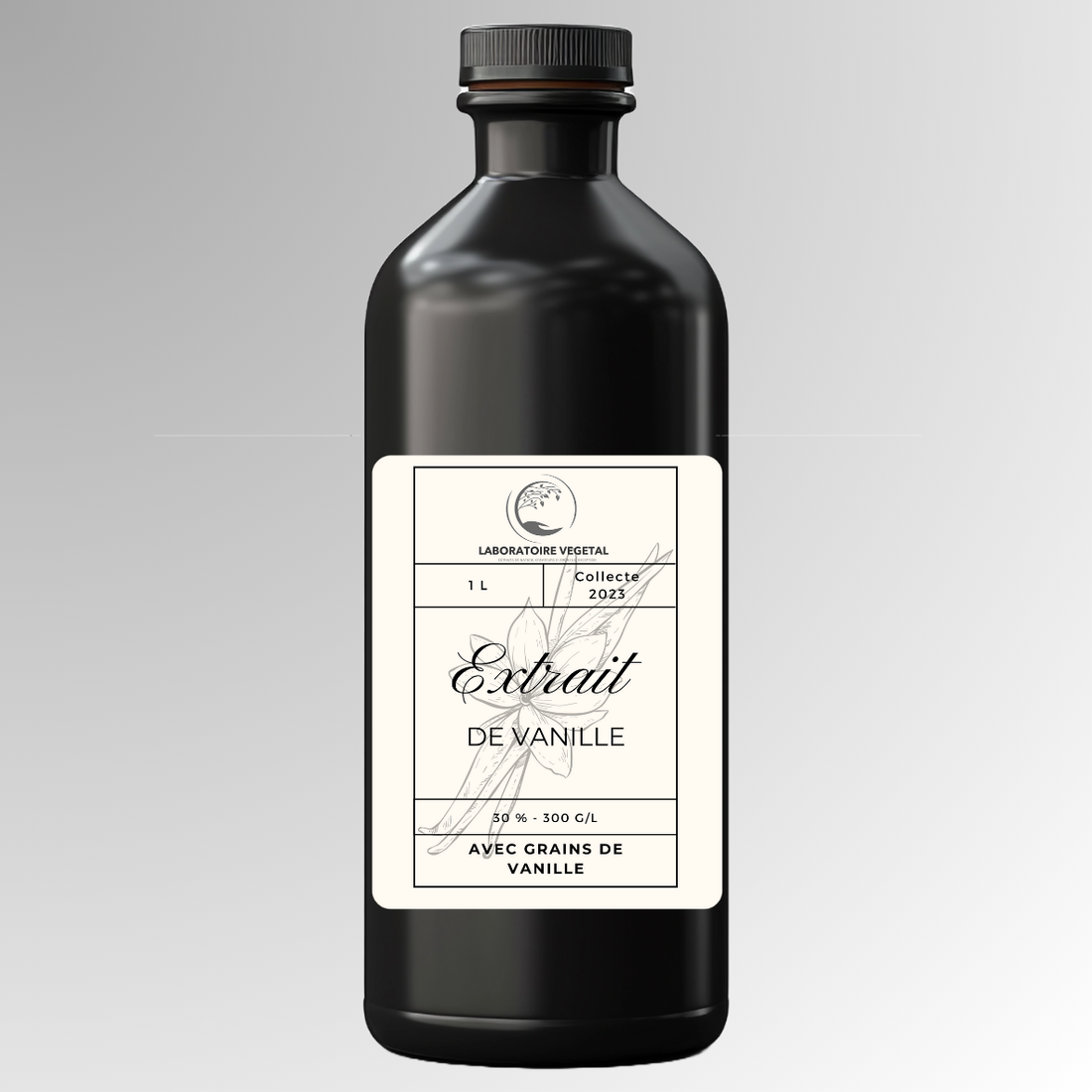 Comment choisir son extrait pour une glace artisanale ou glacier artisanal?