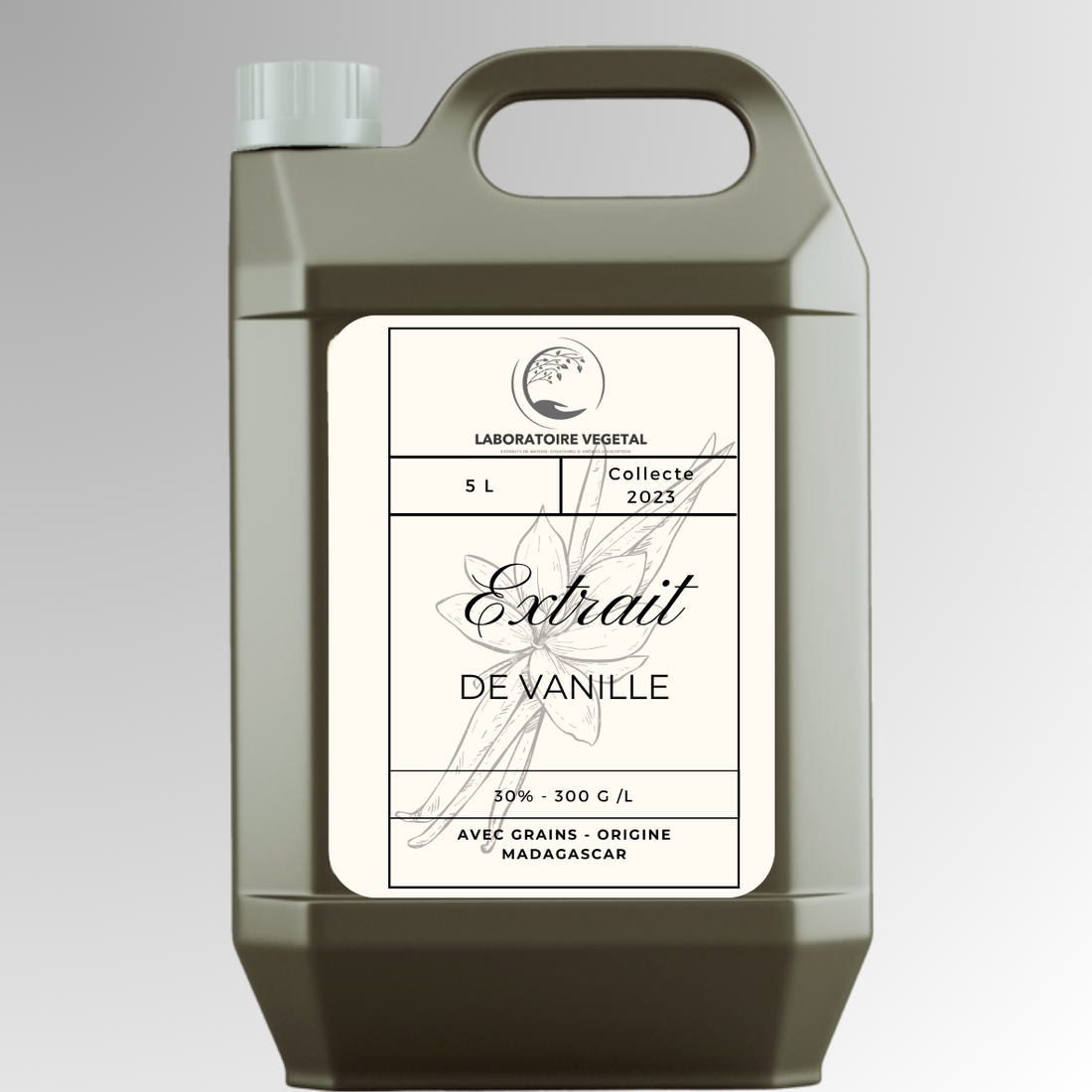 Extrait de Vanille pour Industries Agroalimentaires (yaourtiers, glacier, boissons), Aromaticiens