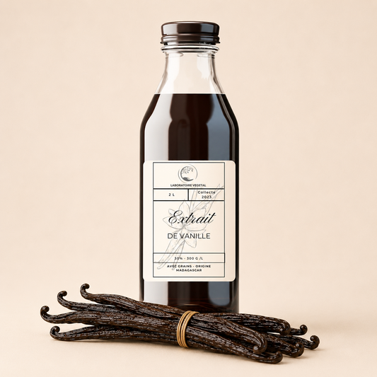 Extrait de vanille Bourbon Madagascar 2 L 30 % avec grains, fond beige