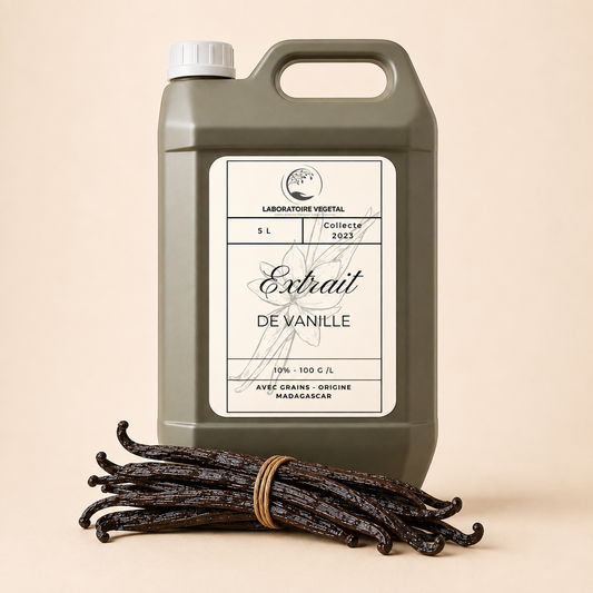 Extrait de vanille Bourbon Madagascar 5 L 10 % avec grains, fond beige