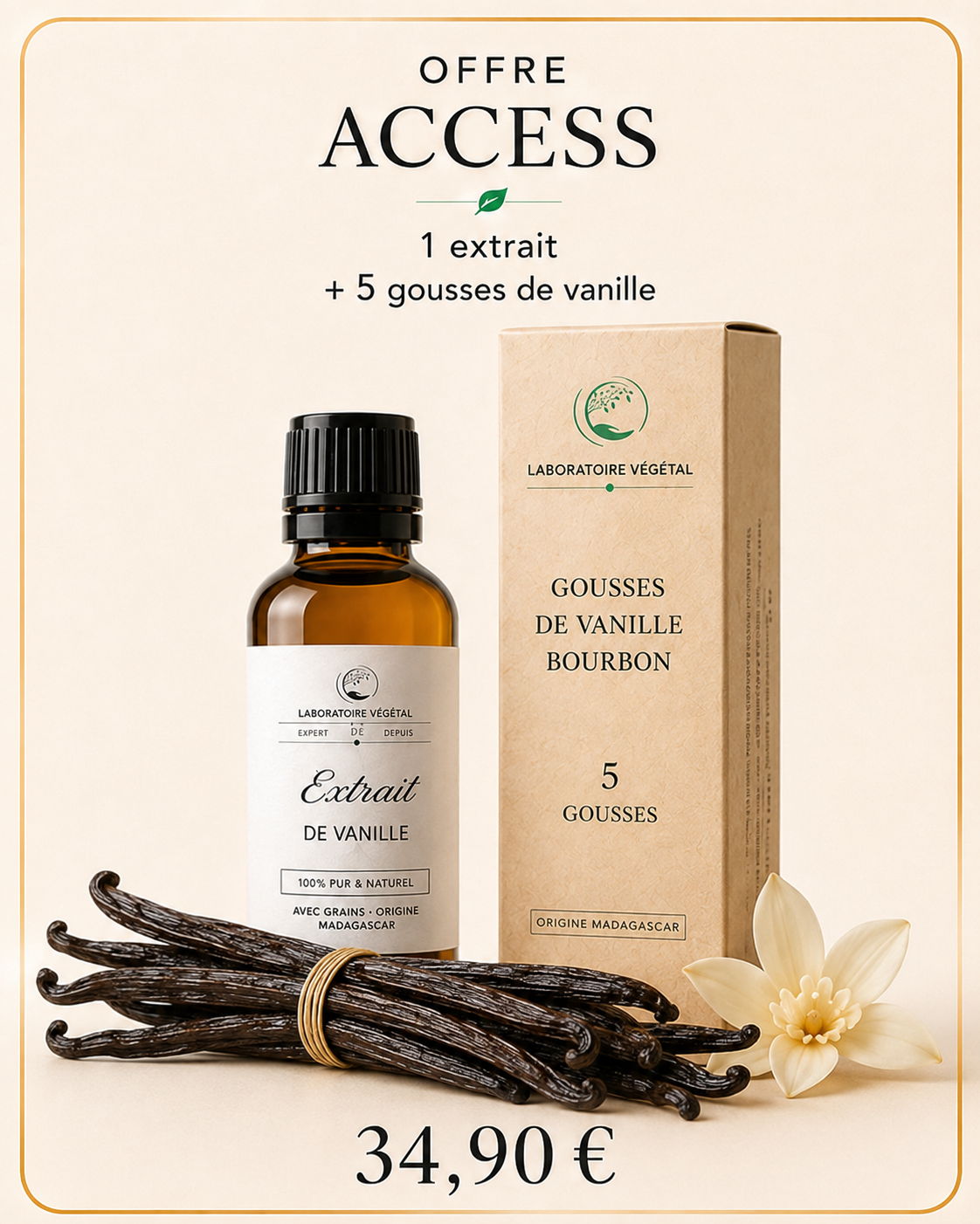 Offre Access - extrait de vanille et 5 gousses de vanille réalistes